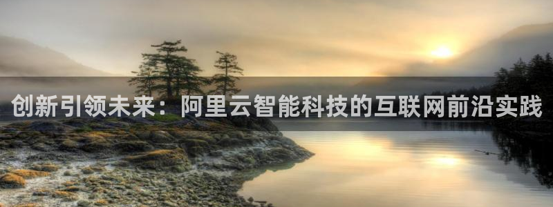 先锋电子车载娱乐系统