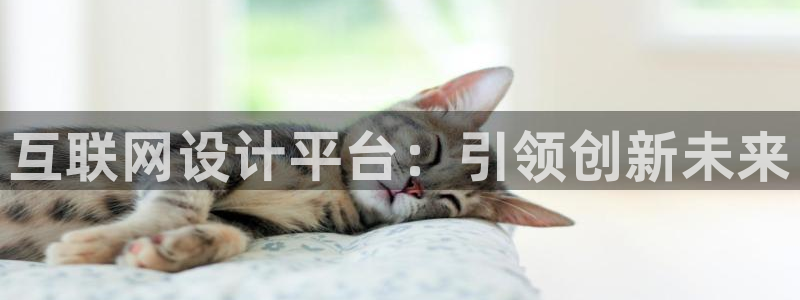 先锋娱乐会所地址