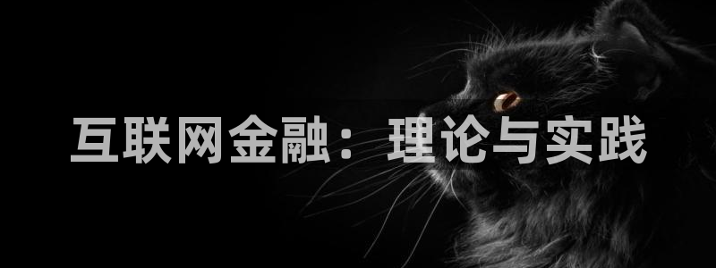先锋娱乐系统