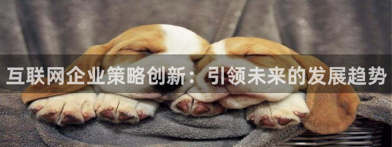 先锋娱乐理财
