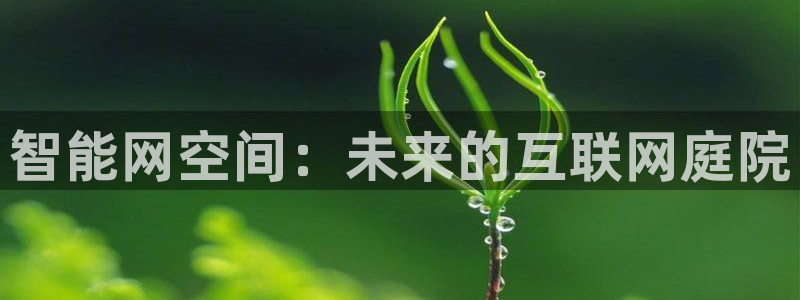 先锋娱乐电子游戏