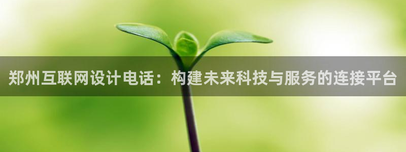 先锋娱乐体育管理集团