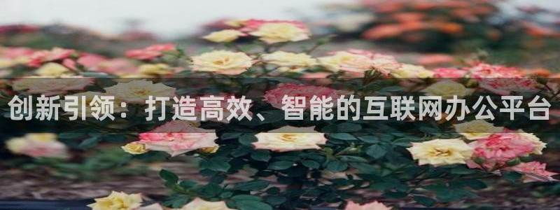 先锋娱乐团