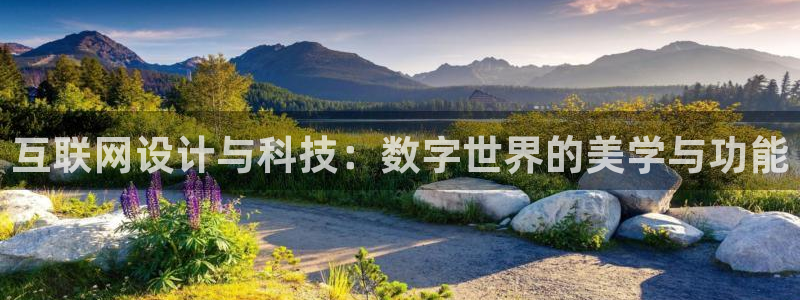 先锋综合娱乐