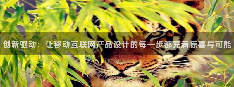 先锋娱乐资讯