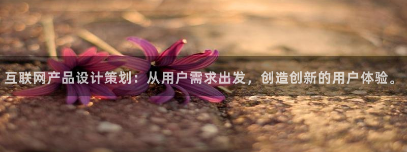 先锋国际娱乐
