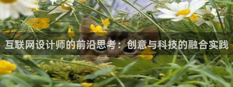 先锋娱乐大厅斗牛