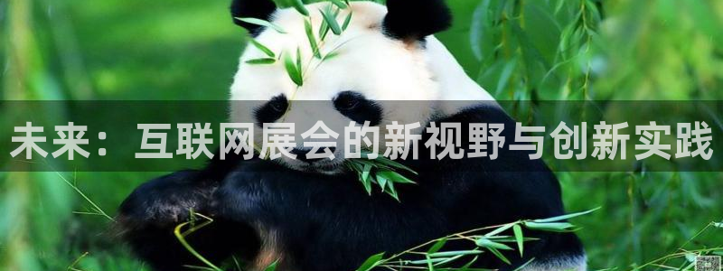 先锋娱乐棋牌