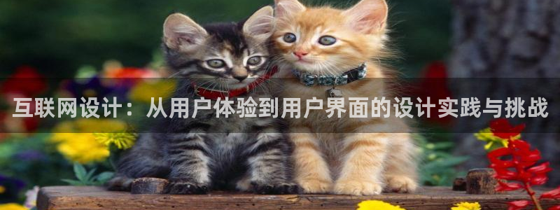 先锋娱乐链接