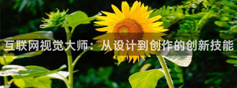 先锋娱乐游戏大厅下载：互联网视