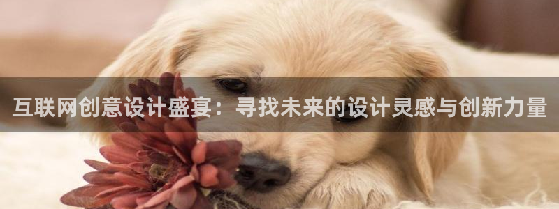 先锋娱乐理财logo：互联网创