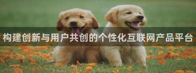 先锋娱乐简介图片：构建创新与用