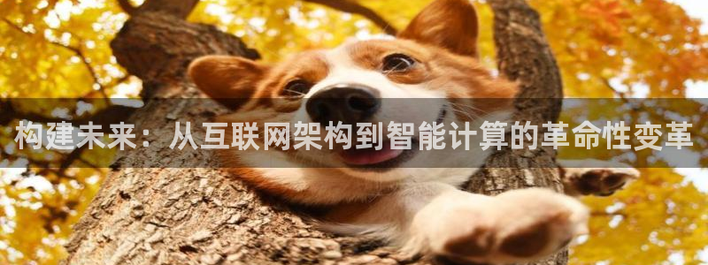 先锋娱乐游戏上分视频