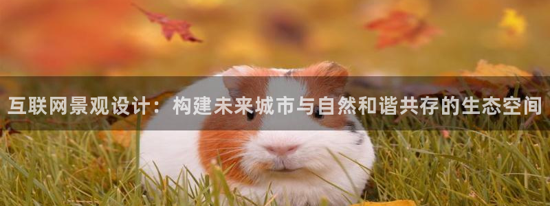 先锋娱乐软件