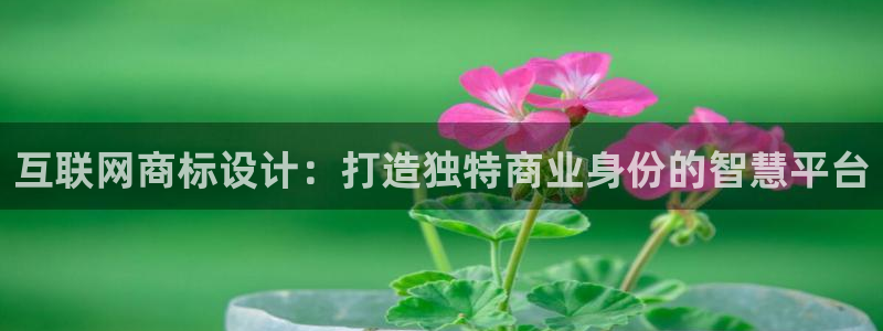 先锋电玩娱乐