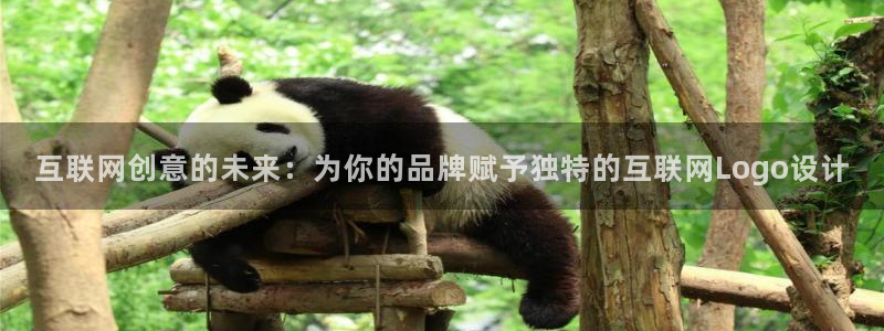 先锋娱乐在哪下载