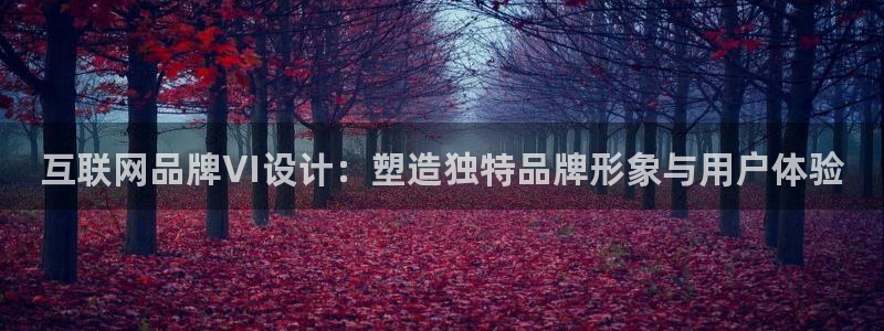 先锋队娱乐：互联网品牌VI设计