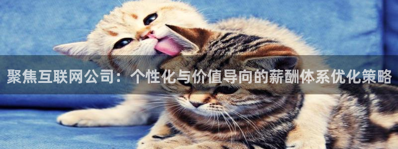 先锋综合娱乐