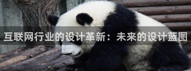 先锋娱乐体育