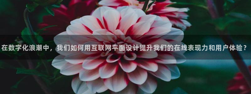 时代先锋娱乐