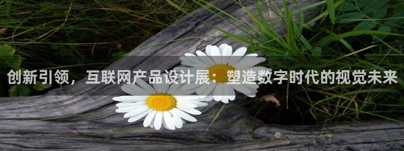 先锋娱乐软件