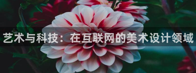 先锋娱乐情报
