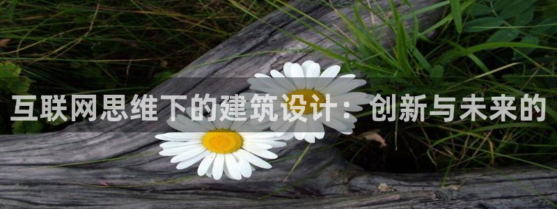 先锋娱乐手机：互联网思维下的建
